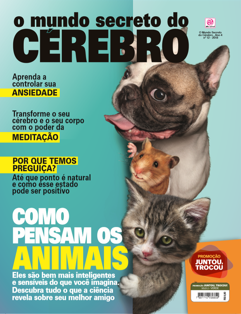Revista Mundo do Cerebro - Matéria Ansiedade - Capa.png